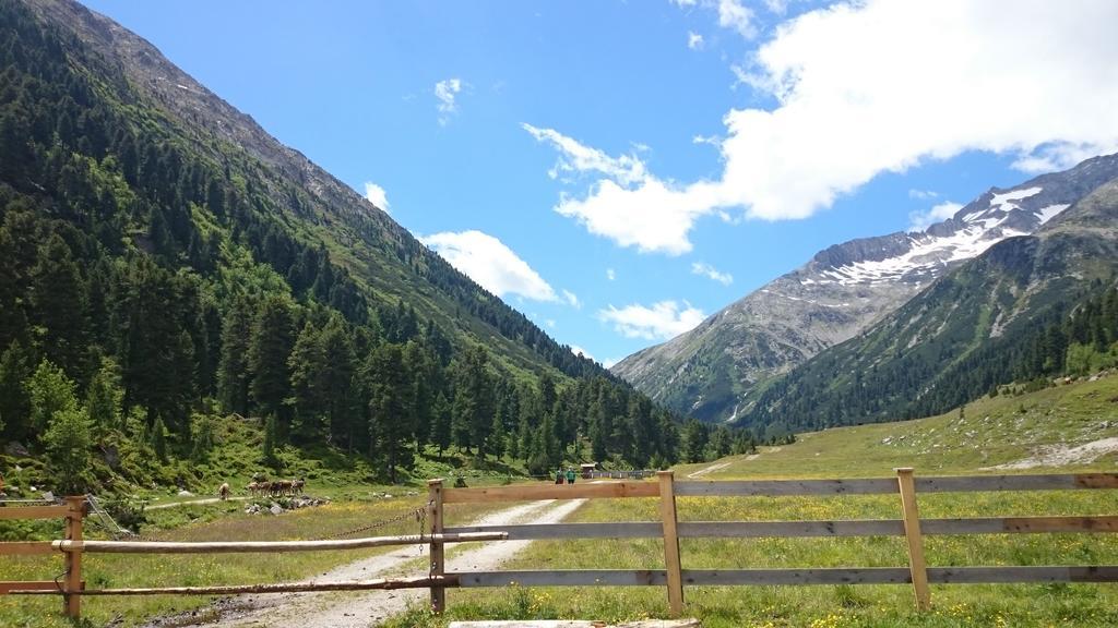 Hotel Eckartauerhof Mayrhofen Luaran gambar