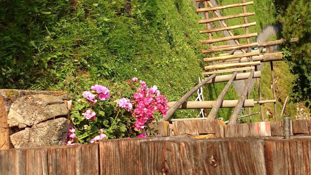 Hotel Eckartauerhof Mayrhofen Luaran gambar