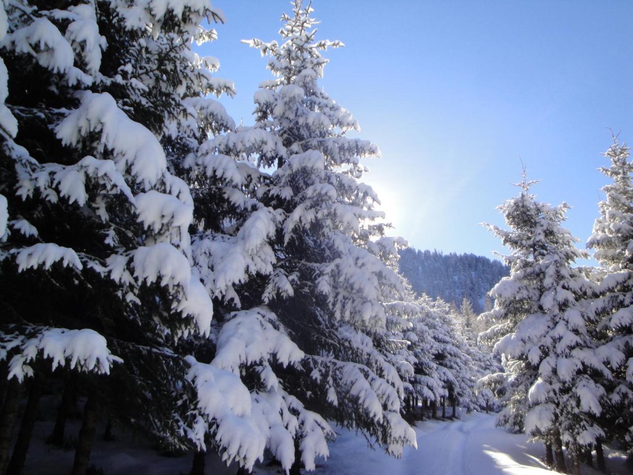 Hotel Eckartauerhof Mayrhofen Luaran gambar
