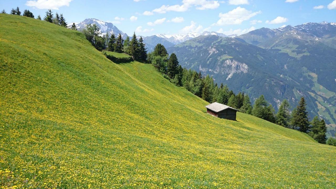 Hotel Eckartauerhof Mayrhofen Luaran gambar
